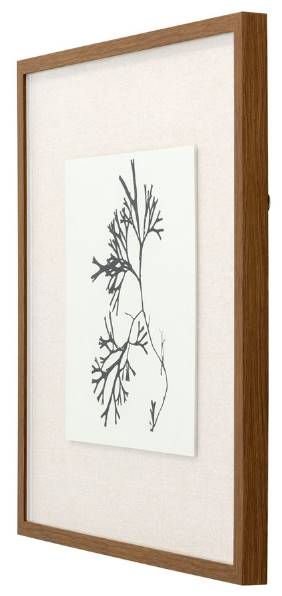 YHD Naturalism III Wall Art-2