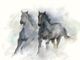 Classy Living Ethan Harper Run Free II Wall Art-2