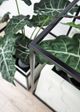 Le Present Cage Marble 36" Planter-4