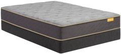 Simmons® Deep Sleep™ Wrapped Coil Plush Tight Top Queen Mattress in a Box
