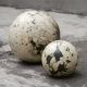 Uttermost® Nouveau 2-Piece Black/White Indoor-Outdoor Sphere Set-4