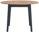 Signature Design by Ashley® Gesthaven Natural Round Dining Drop Leaf Table with Blue Base-2