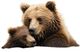 Classy Living Contemplative Bear Family Art Wall Art-0