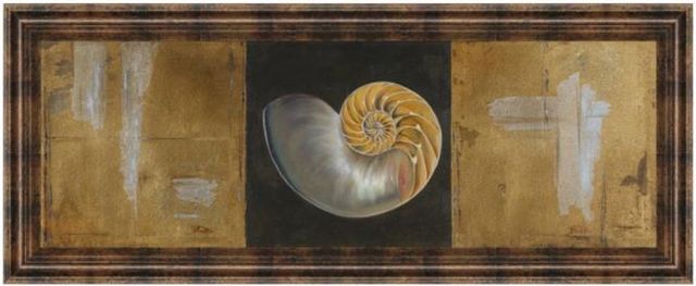 Classy Living Patricia Pinto Seashells Il 18" Wall Art-0