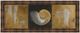 Classy Living Patricia Pinto Seashells Il 18" Wall Art-0