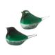 A & B Home 2-Piece Green Bird Set-0