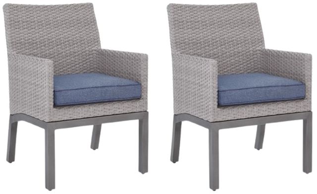 Signature Design by Ashley® Dillon Beach 2-Piece Gray Aluminum/Wicker Outdoor Arm Chair-0