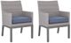 Signature Design by Ashley® Dillon Beach 2-Piece Gray Aluminum/Wicker Outdoor Arm Chair-0