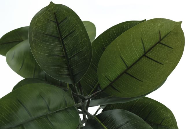 Monarch Specialties Inc. Green/Black 52" Tall Artificial Potted Rubber Tree-2