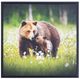 YHD Natural Instinct Wall Art-0