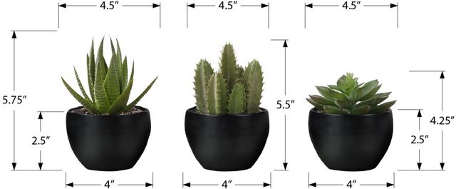 Monarch Specialties Inc. 3-piece 6" Artificial Succulent with Black Pot-2