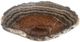 A & B Home Raphael Black Striated Hand-Carved Onyx Bowl-0