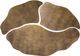 TOV Furniture Cluster Antique Brass Cocktail Tables-2