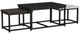 Elements International Nestor 3-Piece Armadillo/Espresso/Smoke Gray Nesting Tables with Black Base Set-0