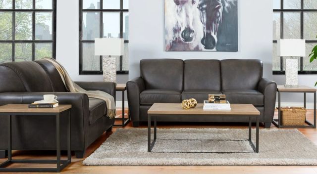 Decor-Rest® Furniture LTD Customizable 3404 Leather Sofa-3