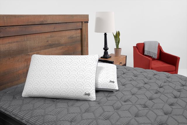 Sealy® Premium Memory Foam Pillow-4