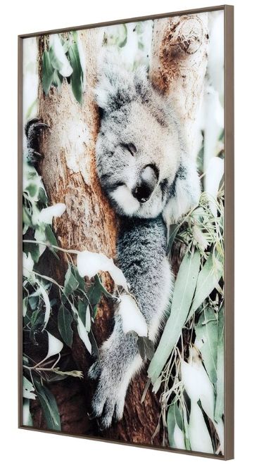 YHD Joey Naps Wall Art-1