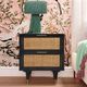 TOV Furniture Sierra Black 22" 2-Drawer Nightstand-1