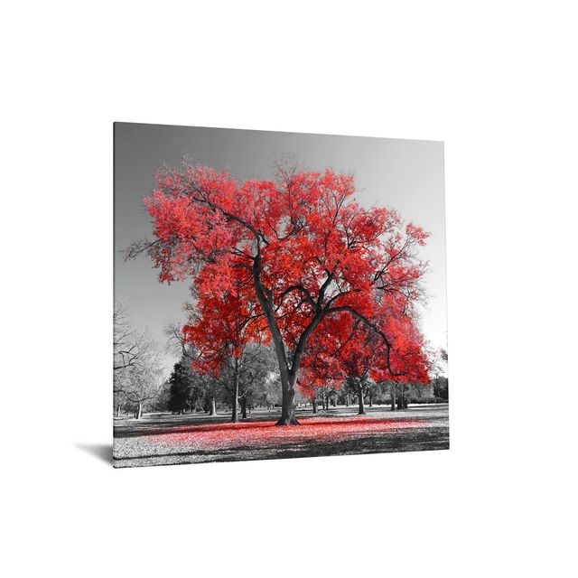 Classy Art Red Tree 50 x 50 Tempered Glass with Foil-1