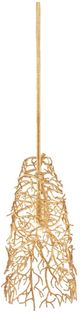 Currey & Company Sea Fan Gold Gilt Pendant Lighting-0