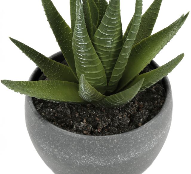 Monarch Specialties Inc. 3-Piece Grey 6" Tall Artificial Potted Succulent-1