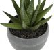 Monarch Specialties Inc. 3-Piece Grey 6" Tall Artificial Potted Succulent-1
