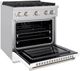 ZLINE Paramount 30" Stainless Steel Pro Style Dual Fuel Range with White Matte Door-2