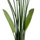 A & B Home Green Artificial Banana Tree-2