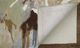 Feizy Dafney Beige/Multi-Colored 5' x 8' Rug-3