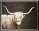 Stylecraft Dark Brown/White Wall Art-0