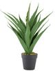 A & B Home Green Artificial Yucca Plant-0