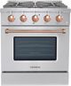 VEZENI Reminiscia 30" Stainless Steel Pro Style Gas Range-0