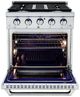 VEZENI Randolph 30" Stainless Steel Pro Style Gas Range-1