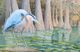 Stylecraft Edge of the Swamp Wall Art-1