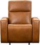 Elran Customizable Paxton Power Recliner-1