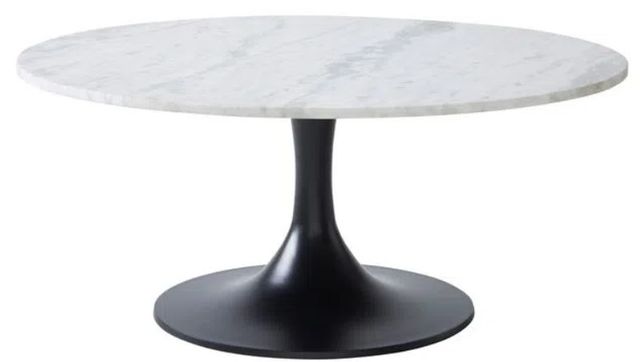 Renwil® Loveada White Marble Top Coffee Table with Matte Black Base-0
