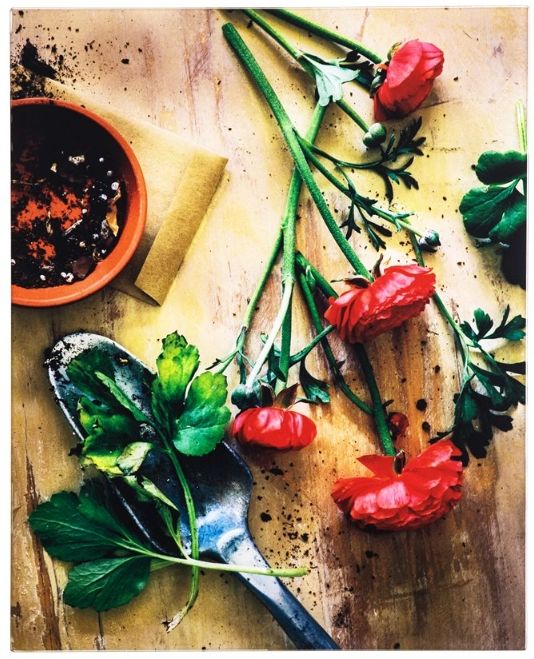 YHD Planned Planting Wall Art-0