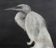 Stylecraft Textured Egret I Black/White Wall Art-1