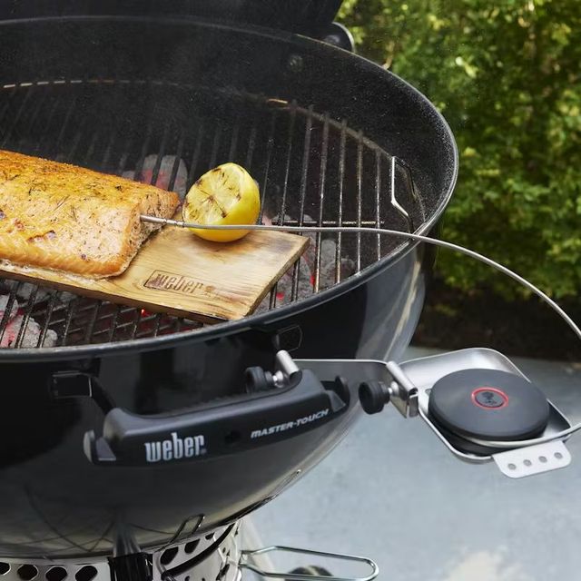 Weber® Smart Probe with Grate Sensor-4