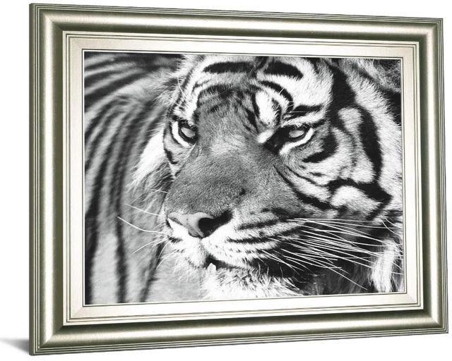 Classy Art Tiger Eyes by Xavier Ortega Framed Print Wall Art-1
