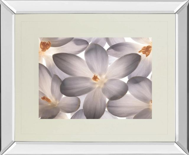 Classy Art Petal Perfect by Assaf Frank Mirror Framed Wall Art-0