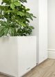 Le Present Squared White 12" Planter-3