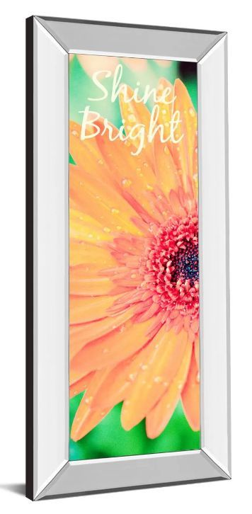 Classy Art Shine Bright Daisy by Susan Bryant Mirror Framed Wall Art-1