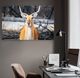 YHD Aepyceros Wall Art-4