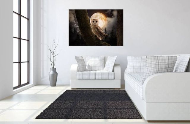 Classy Art Night Owl Wall Art-3