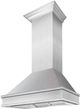 ZLINE Designer Series 30" Satin Stainless Steel Outdoor Wall Mounted Range Hood-1