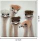 Classy Living Contemplative Feathered Expressions Wall Art-2