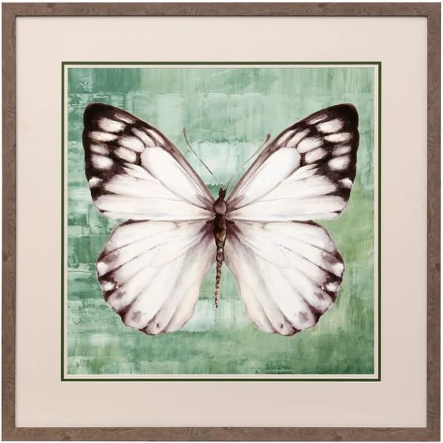 Stylecraft Green Butterfly I Framed Print-0