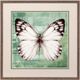 Stylecraft Green Butterfly I Framed Print-0