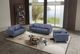ACME Furniture Astonic Blue Leather Accent Chair-1